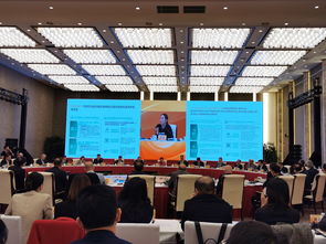 國際 智囊團 齊聚雁棲湖,為北京服務貿易建言