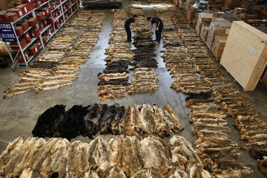 網易財經一周圖片精選 8.04 8.10