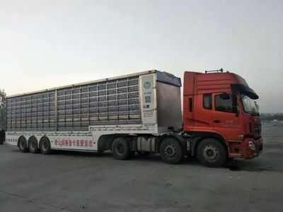 2018年北京愛亞卡普公棚548.8公里決賽開籠(圖片)